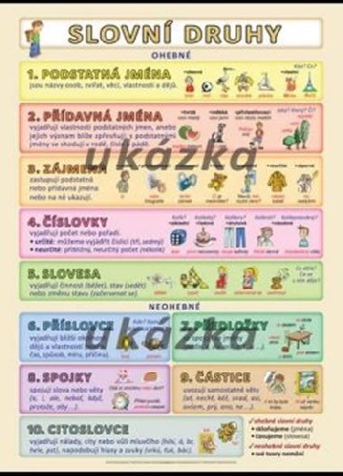 Slovn druhy XL - Kupka Petr