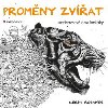 Promny zvat - antistresov omalovnky - Kerby Rosanes