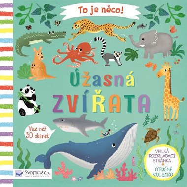 ھasn zvata - To je nco! - Lon Lee