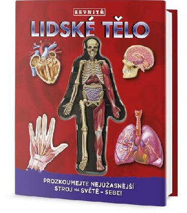 Lidsk tlo zevnti: Prozkoumej nejasnj stroj na svt - sebe! - Luann Colombo
