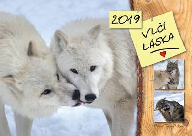 Kalendář 2019 - Vlčí láska - Tanja Askani