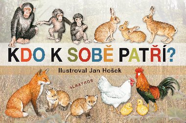 Kdo k sob pat - Jan Hoek