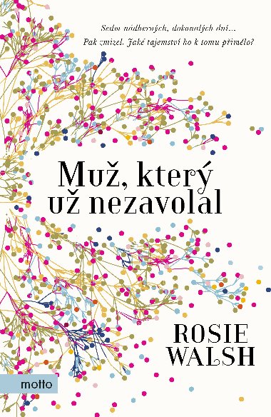 Mu, kter u nezavolal - Rosie Walsh