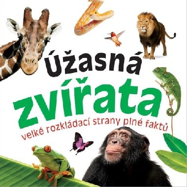 ھasn zvata - Bookmedia