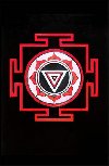 The Mountain Shadow - Gregory David Roberts