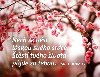 Magnet na lednici - Nech se vést láskou svého srdce. Štěstí tvého života půjde za tebou. - Sri Chinmoy