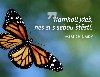 Magnet na lednici - Kamkoli jdeš, nes si s sebou štěstí. - Sri Chinmoy