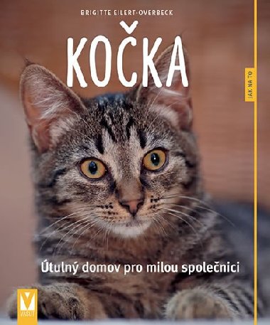 Kočka - Jak na to - Vašut - Brigite Eilert-Overbeck