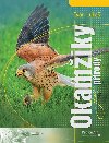 Okamiky iv prody - Ivan Luke
