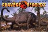 Pravk rekordy - Boivoj Zruba