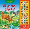 V, jak mluv zvtka? - Junior