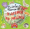 Zvierac kamarti V lesoch a na poliach - Daniela Reichstdterov