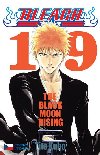 Bleach 19 - Tite Kubo