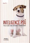 Inteligence ps - Coren Stanley