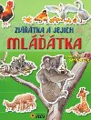 Zvtka a jejich mltka - Objevuj a nalep - neuveden