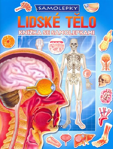 Lidsk tlo - 
