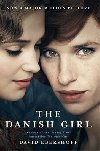 The Danish Girl - David Ebershoff