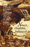 Nouze, chudoba, bohatstv - Pavel Ambros