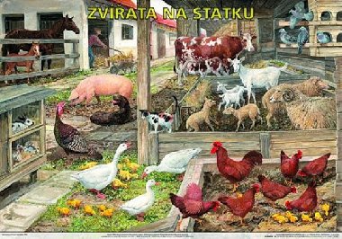Plakt - Zvata na statku - neuveden