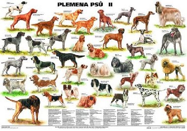 Plakt - Plemena ps II - neuveden