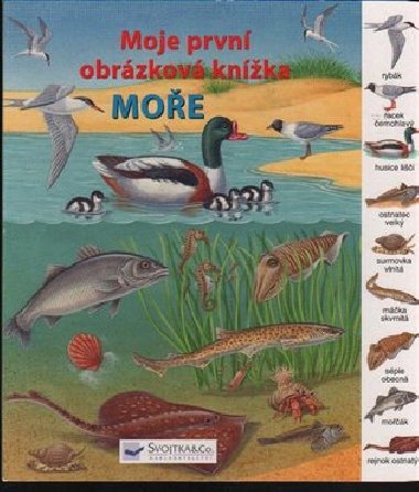 Moe moje prvn obrzkov knka - 