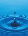 Zpisnk - Drops - 