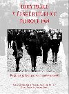 Trhy prce v esk republice - Vclav Novk,Frantiek Stellner,Marek Vochozka,Marek Vokoun,Robert Zeman