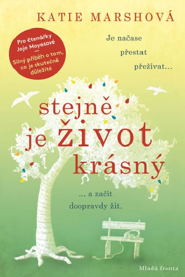 Stejně je život krásný - Katie Marshová