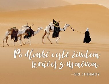 Magnet na lednici - Po dlouh cest ivotem krej s smvem. - Chinmoy Sri