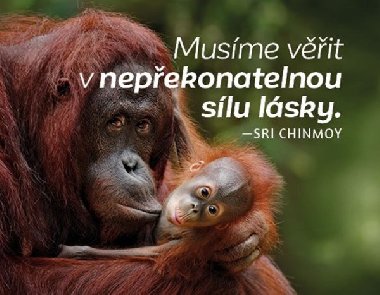 Magnet na lednici - Musme vit v nepekonatelnou slu lsky. - Chinmoy Sri