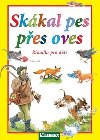 Skkal pes pes oves - Dagmar Kokov