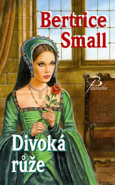Divok re - Bertrice Small