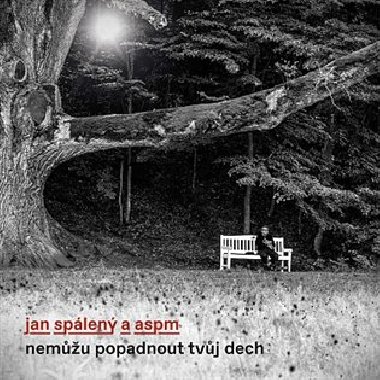 Nemu popadnout tvj dech - CD - ASPM, Jan Splen
