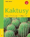 Kaktusy - Markus Berger