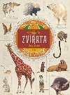 Zvata - ھasn svt savc - Junior