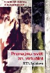 Pronajmu svt zn. virtuln - Jita Spltkov