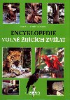 Encyklopedie voln ijcch zvat - Esther Verhoef-Verhallen; Esther Verhoef-Verhallen; Angelique Van Voorst