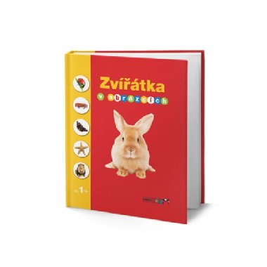 Zvtka v obrzcch - neuveden