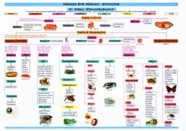 Tabulka - zoologie - kolektiv autorů