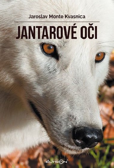 Jantarov oi - Kvasnica Jaroslav Monte