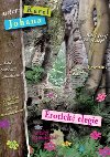 Erotick elegie - Karel Johana