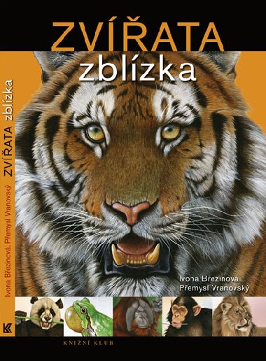 Zvata zblzka - Ivona Bezinov; Pemysl Vranovsk
