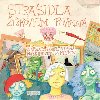 Straidla ikovem povinn - Pavel Vrna