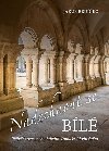 Naechnout se bl - Pbh ztracenho kzn Tome Akvinskho - Jakub Brdko