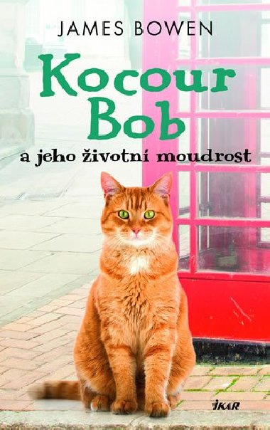Kocour Bob a jeho ivotn moudrost - James Bowen