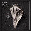 Lullaby and... The Ceaseless Roar - Robert Plant