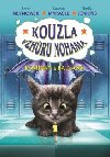 Kouzla vzhru nohama - Kamnky a klacky - Sarah Mlynowski; Lauren Myracleov; Emily Jenkins