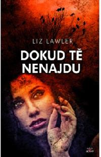 Dokud t nenajdu - Liz Lawler