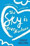 The Sky Is Everywhere - Nelsonov Jandy