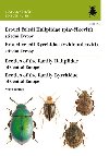 Brouci eled plavkovit a vyklenulcovit / Beetles of the family Haliplidae and Byrrhidae - Milan Boukal